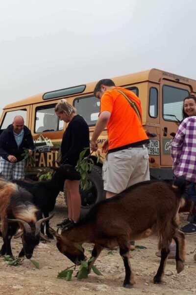MALIA: Land Rover Safari Lasithi Plateau and Zeus Cave - Booking Details