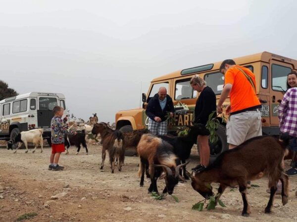 MALIA: Land Rover Safari Lasithi Plateau and Zeus Cave - Frequently Asked Questions