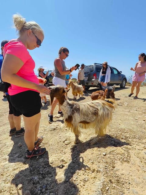 Malia: Lasithi Plateau Zeus Cave Guided Tour - Exploring the Itinerary and What You’ll Experience
