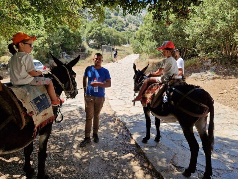 Malia: Lasithi Plateau Zeus Cave Guided Tour - The Sum Up
