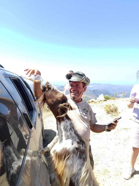 Malia: Lasithi Plateau Zeus Cave Guided Tour - FAQ