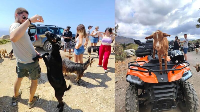 Malia: Off-Road Quad Safari Tour with Lunch and Transfers - A thorough look at the experience: what you’ll really get