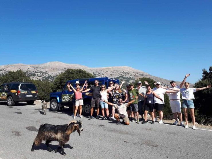 Malia: Paradise of Eastern Crete (Family and Child Friendly) - Family-Friendly Activities