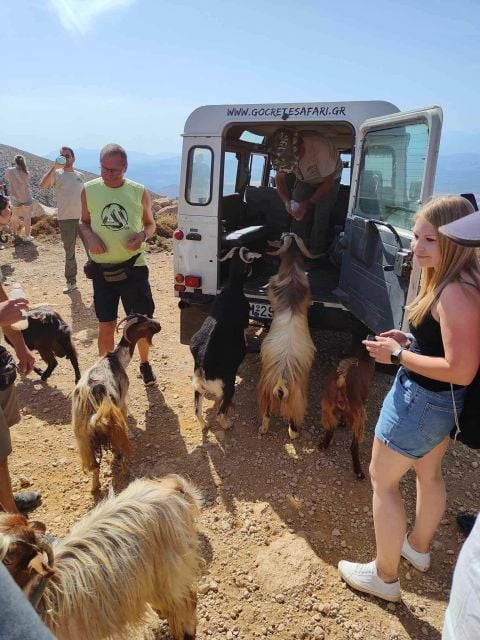 Malia: The Roads Of Wine Olive Oil And Cretan Tradition - Inclusions