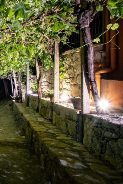 Malia: The Roads Of Wine Olive Oil And Cretan Tradition - Customer Reviews