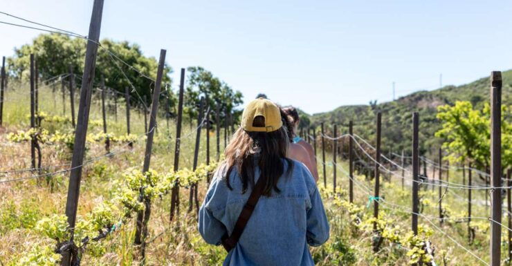 Malibu: Guided Vineyard Hike With Photo Stops and Wine - Good To Know