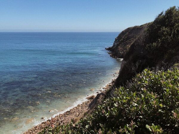 Malibu: Vintage VW Sightseeing Tour and Wine Tasting - Common Questions