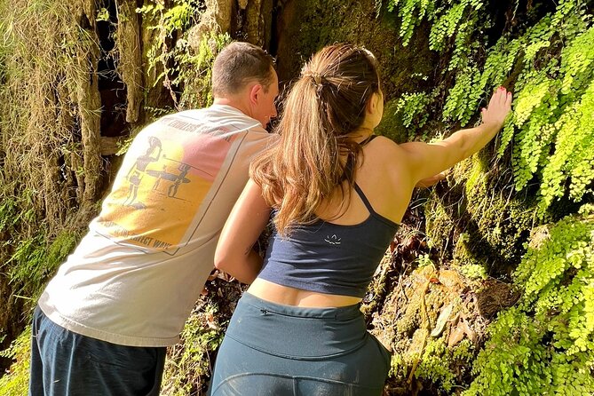 Malibu Waterfall Electric MTB & Hiking Adventure Tour (Beginner) - Background