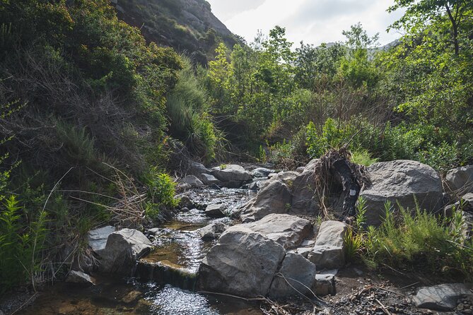 Malibu Waterfall Wonders: Guided Hiking Adventure in Los Angeles - Capturing Unforgettable Moments