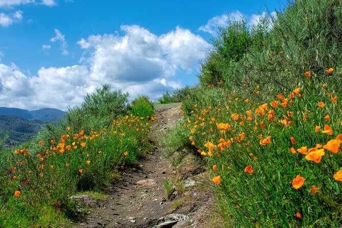 Malibu Waterfall Wonders: Guided Hiking Adventure in Los Angeles - Common Questions