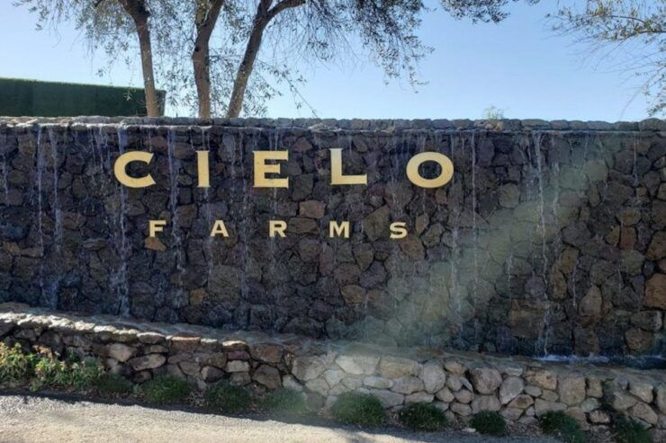 Malibu Wineries Private Group Tour - Activity Details