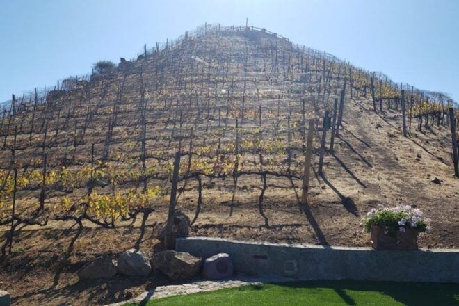 Malibu Wineries Private Group Tour - Customer Reviews