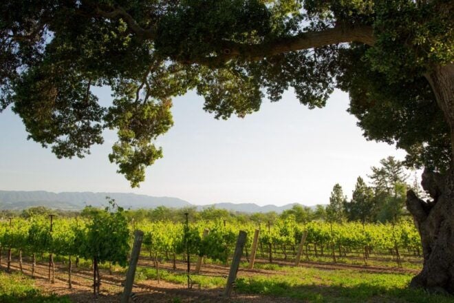 Malibu Wineries Private Luxury VIP Tour - Tour Details