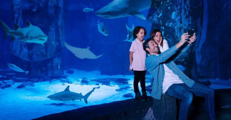 Mall of America: Sea Life Minnesota Aquarium Entry Ticket - Ticket Details