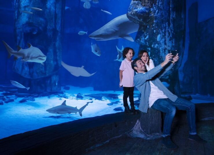 Mall of America: Sea Life Minnesota Aquarium Entry Ticket - Visitor Experience