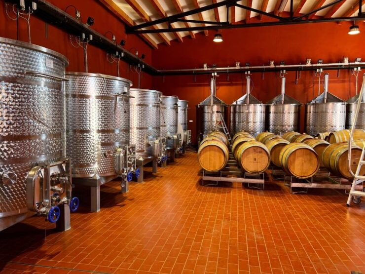 Mallorca - a Paradise for Wine Lovers - Wine Tours in Mallorca