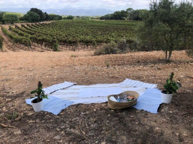 Mallorca: Activity, Antique Mallorca With Picnic - Inclusions
