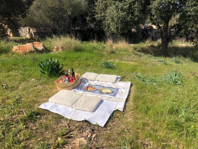 Mallorca: Activity, Antique Mallorca With Picnic - Participant Requirements