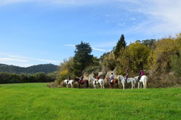 Mallorca: Activity, Antique Mallorca With Picnic - Scenic Stops