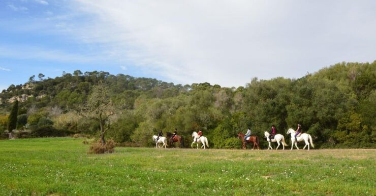Mallorca: Activity, Antique Mallorca With Picnic - Picnic With Mallorcan Cuisine