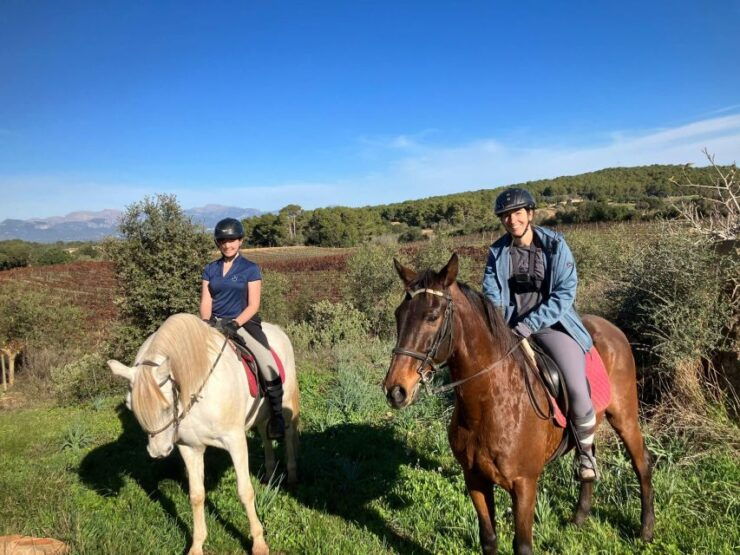 Mallorca: Activity With Horses, Antique Mallorca - Activity Details
