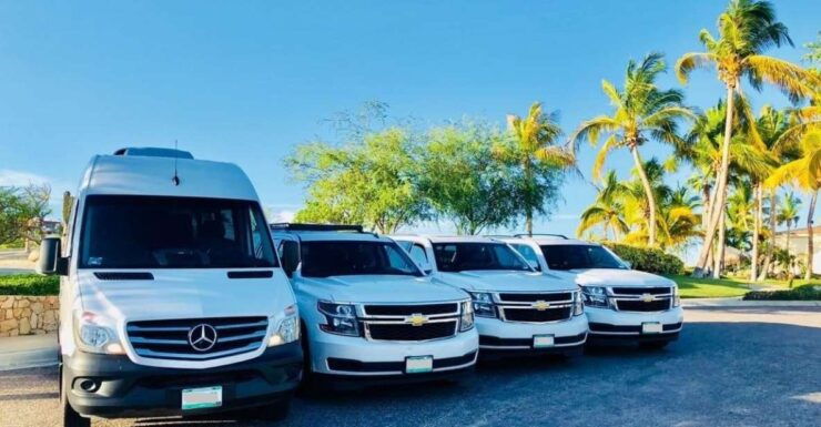 Mallorca Airport (PMI): Private Transfer to Palma Nova - Service Details