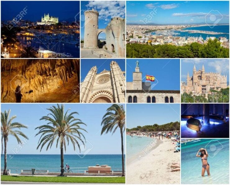 Mallorca - Alcudia & Port De Pollença Tour - Activity Details
