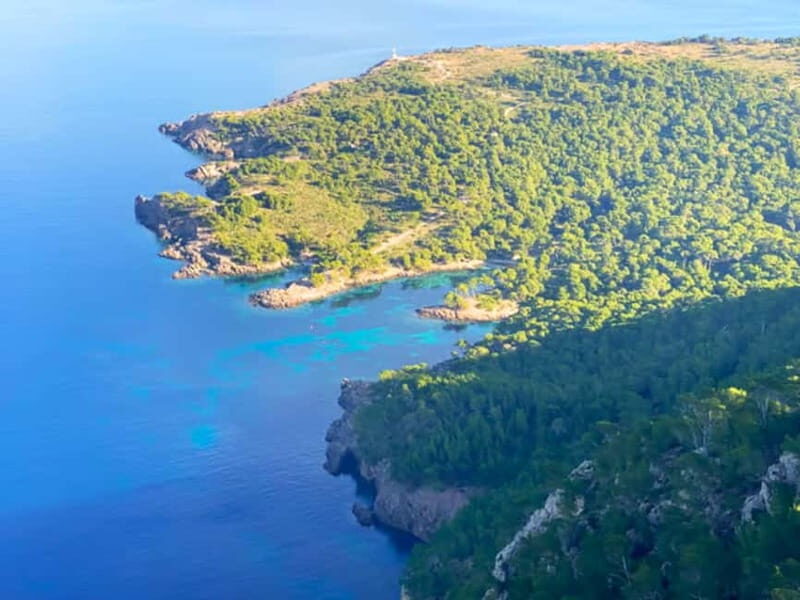 Mallorca: Alcudia: Private Boat Tour with Snorkel - Who Will Love This Experience?