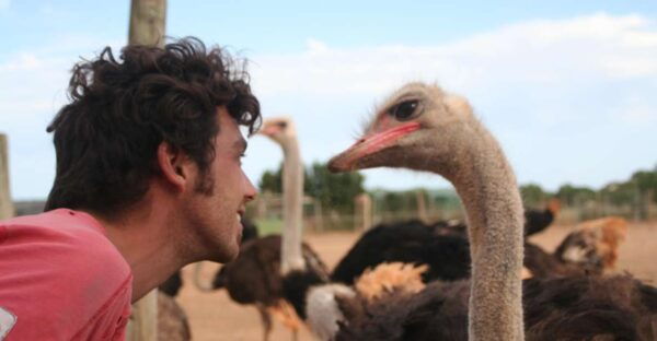 Mallorca: Artestruz - Ostrich Farm Ticket Entrance - Customer Reviews and Rating