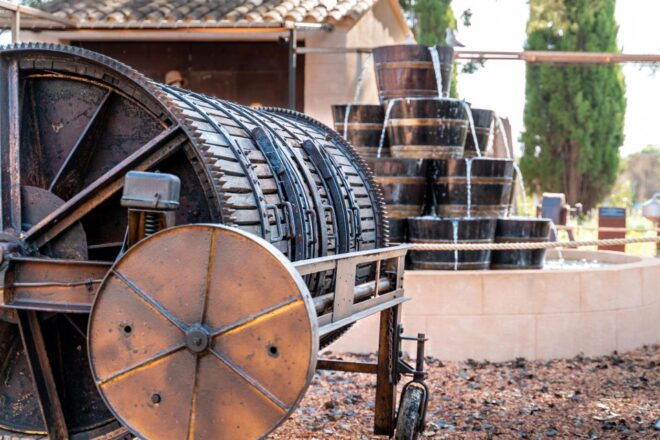 Mallorca: Blanca Terra Bodega Ticket - Optional Wine Tasting - Ticket Inclusions