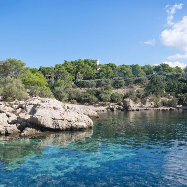 Mallorca: Boat Transfer between Port Andratx and Sant Elm - The Experience from the Traveler’s Perspective