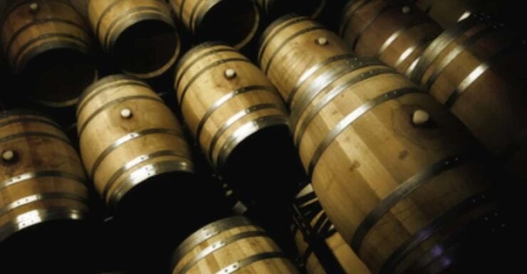 Mallorca: Bodega Butxet Vineyards & Winery Tour With Tasting - Experience Highlights