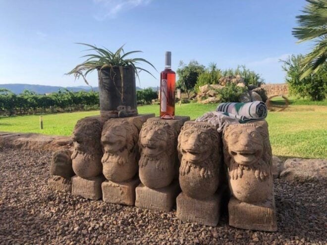 Mallorca: Bodega Butxet Vineyards & Winery Tour With Tasting - Location and Accessibility