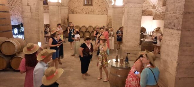 Mallorca: Bodega & Olive Oil Minibus Tour With Tastings - Important Information