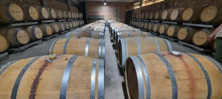 Mallorca: Bodega & Olives Minibus Tour With Tastings GERMAN - Itinerary and Experience