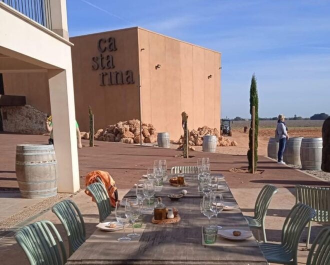 Mallorca: Bodega & Olives Minibus Tour With Tastings GERMAN - Included Features