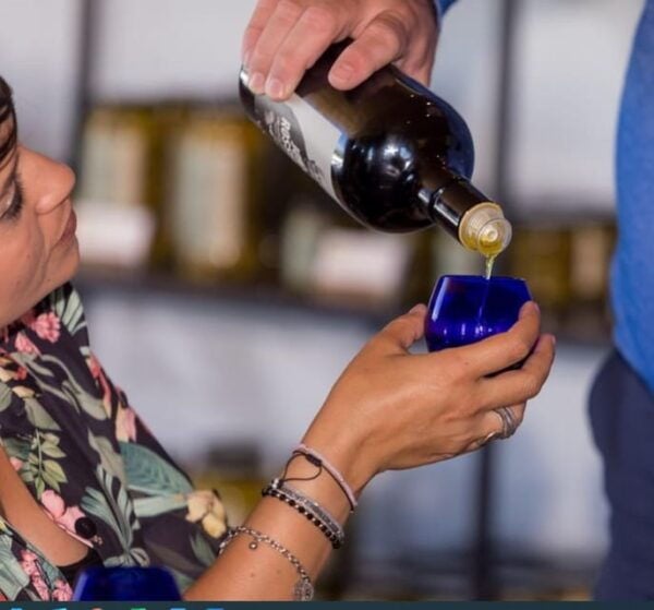 Mallorca: Bodega & Olives Minibus Tour With Tastings GERMAN - Olive Oil Production and Tasting