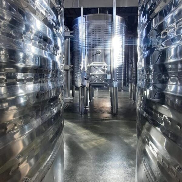 Mallorca: Bodega & Olives Minibus Tour With Tastings GERMAN - Wine Growing History and Tasting