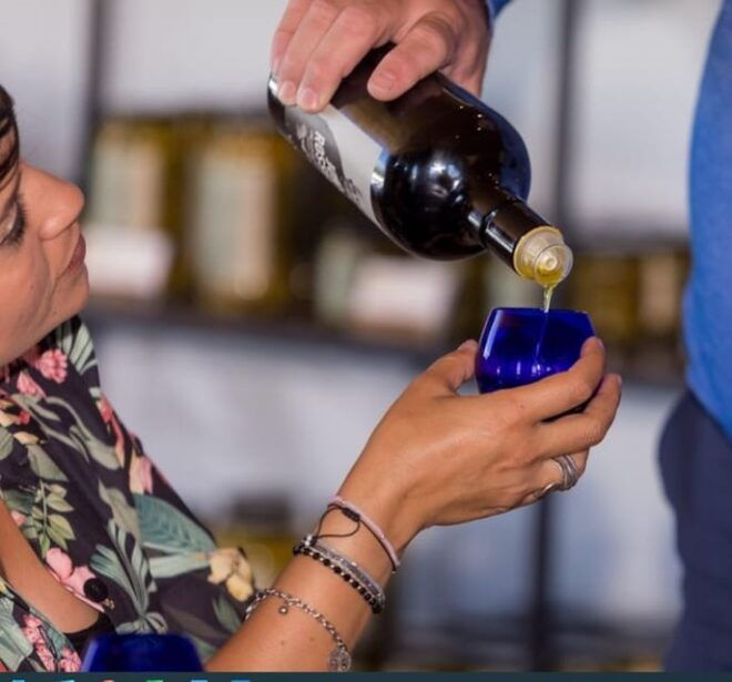 Mallorca: Bodega & Olives Minibustour With Tastings ENGLISH - Included Experiences
