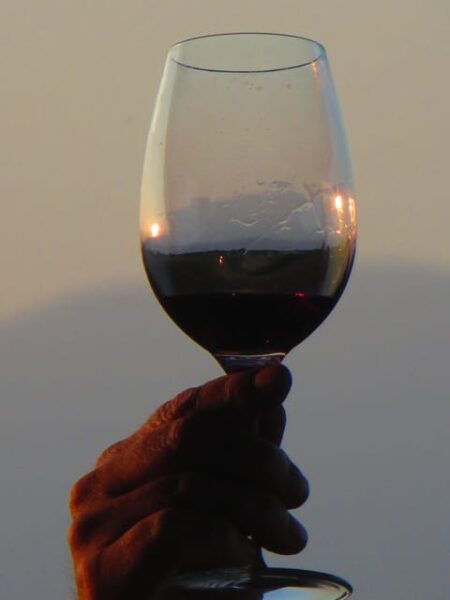 Mallorca: Bodega & Olives Minibustour With Tastings ENGLISH - Frequently Asked Questions