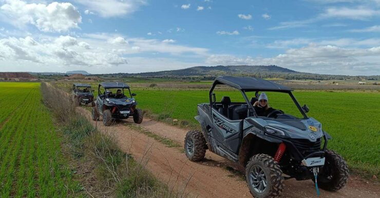 Mallorca: Buggy Adventure in the Mountains & Secret Coves - Good To Know