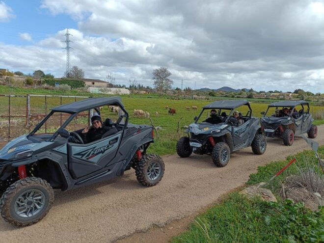 Mallorca: Buggy Adventure in the Mountains & Secret Coves - Participant Requirements