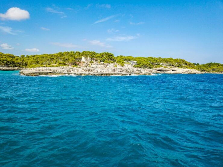 Mallorca: Cala Mondragó Natural Park Jetski Tour - Tour Highlights and Inclusions