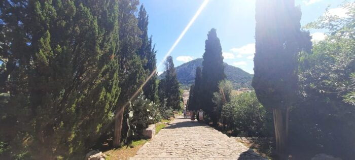 Mallorca: Cap & Cava - Minibus Tour to Formentor - GERMAN - What to Bring and Restrictions
