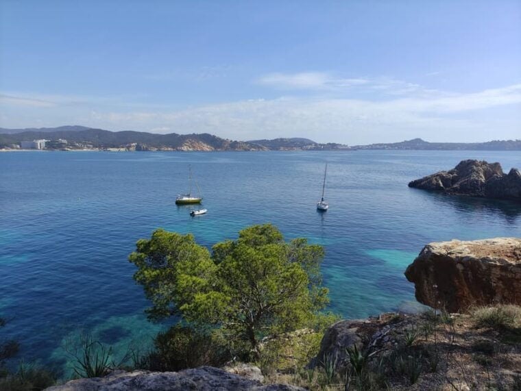 Mallorca: Catamaran Boat Tour With Tapas - Paddleboarding and Snorkeling Experience
