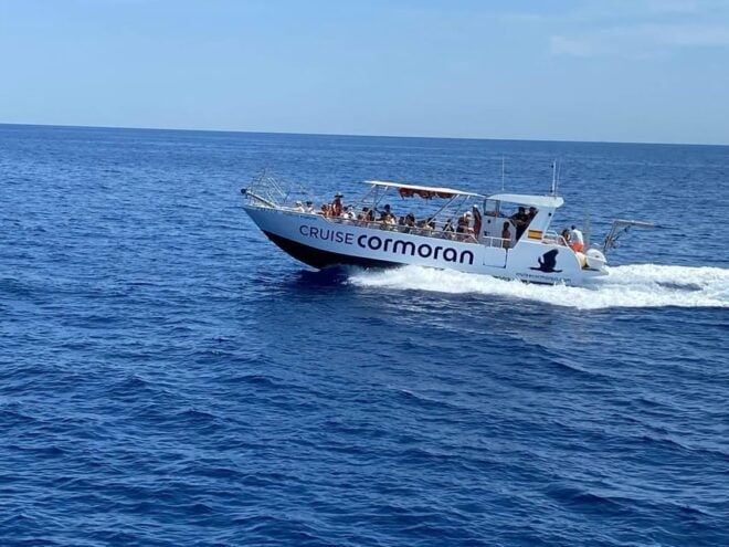 Mallorca: Caves, Cliffs, and Coves Boat Trip - Opportunities for Swimming and Snorkeling