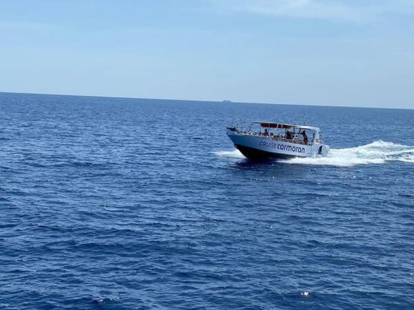 Mallorca: Caves, Cliffs, and Coves Boat Trip - Customer Ratings and Weather Conditions