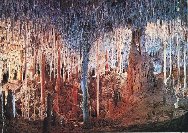 Mallorca: Caves of Hams, Blue Cave and Audiovisual - Logistics and Meeting Point