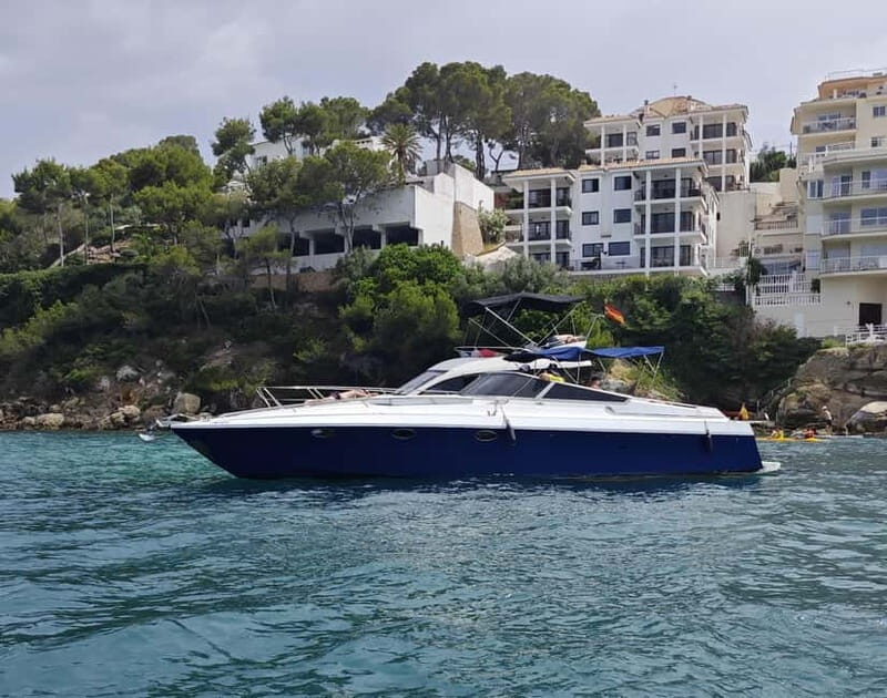 Mallorca: Charming boat ride with tapas and Mallorcan wines - Good To Know