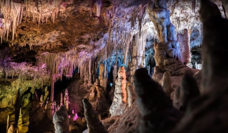 Mallorca: Day Trip to Caves of Hams & Optional Dinosaurland - Good To Know